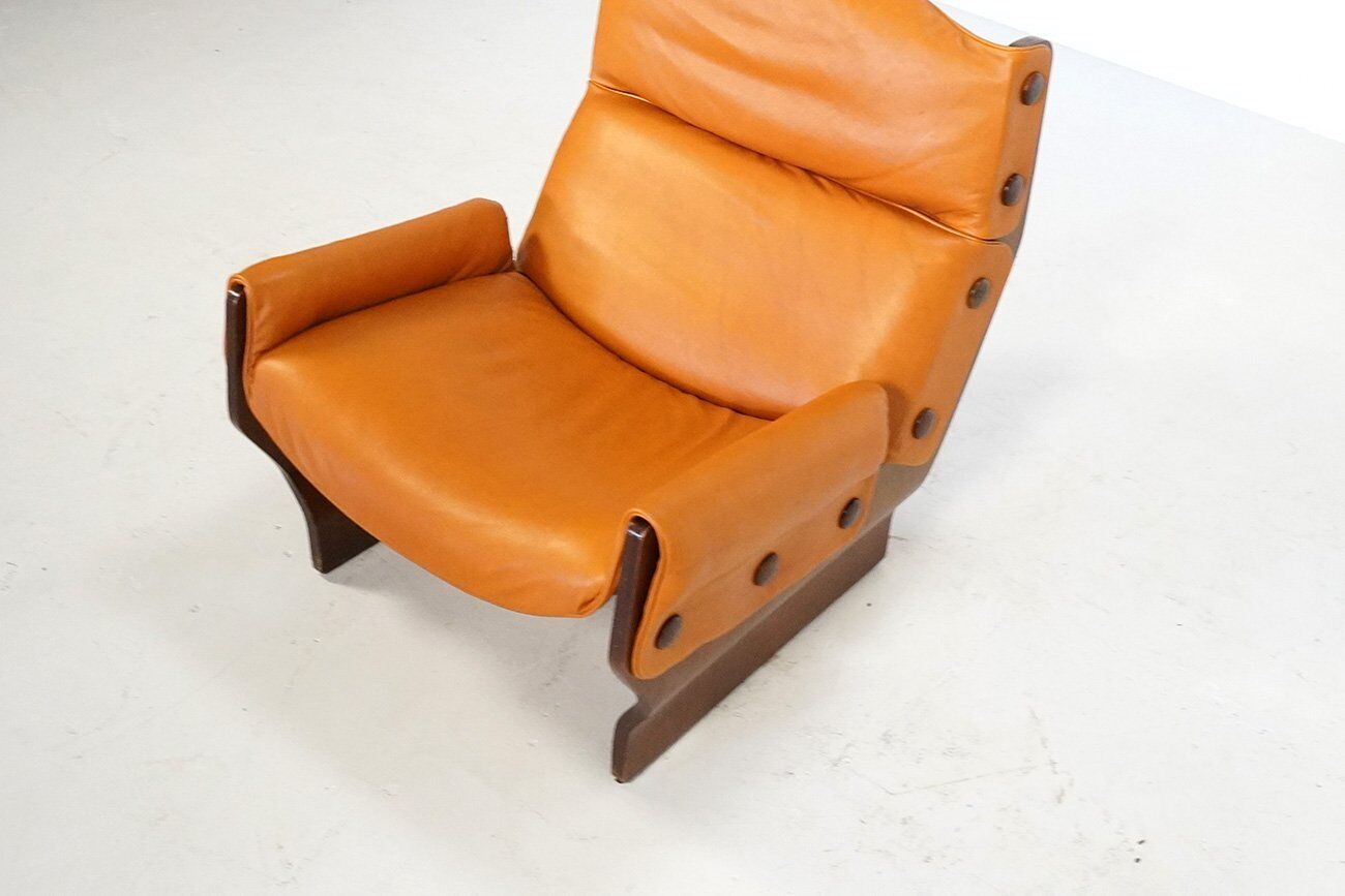 P110 Canada Lounge Chair by Osvaldo Borsani for Tecno, Italy, 1970s