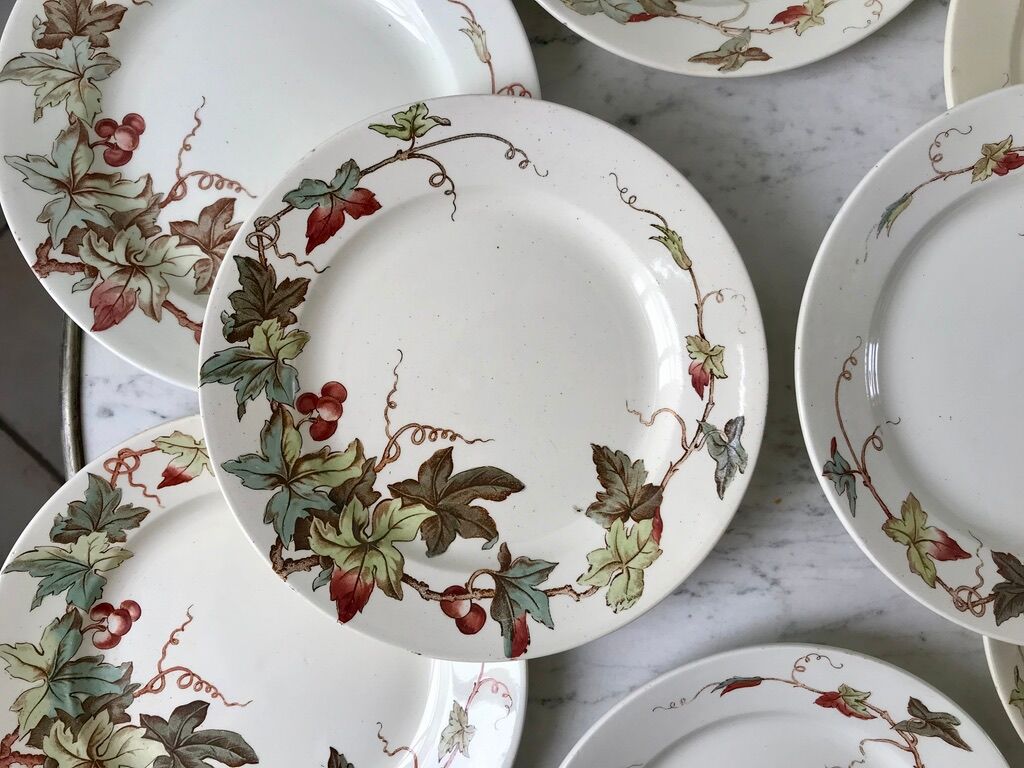 set of 8 dessert plates Terre de Fer Lunéville model Lier XIXth