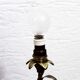 Paire de lampes "fleurs"