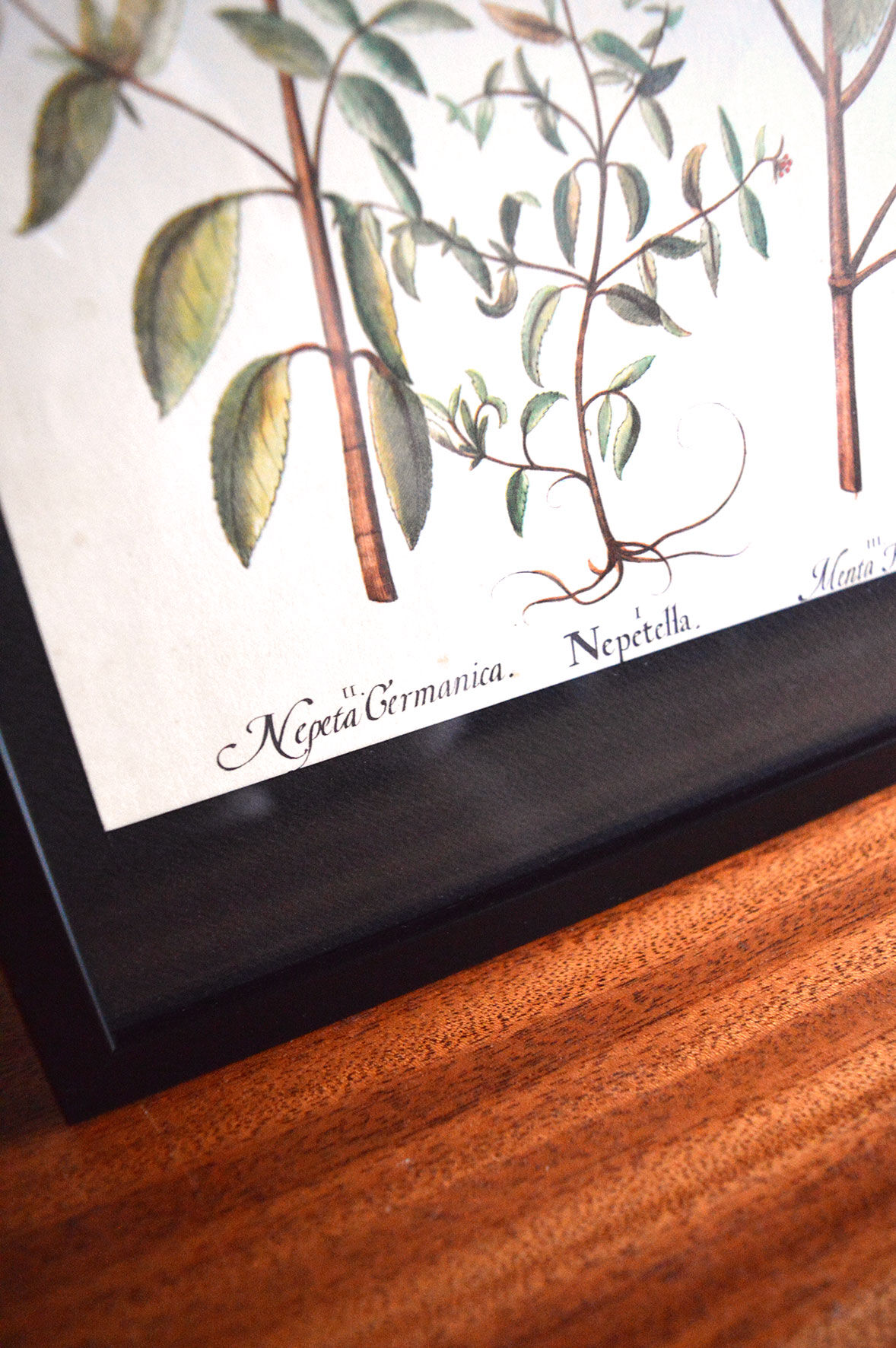 Framed pharmaceutical board