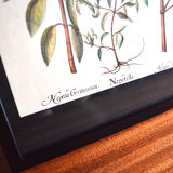 Framed pharmaceutical board