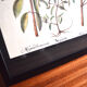 Framed pharmaceutical board