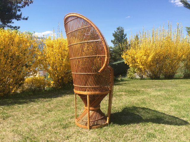 Emmanuelle wicker and rattan chair for adults 1970s