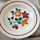 Set of 5 hollow plates Terre de Fer Longchamp early twentieth century