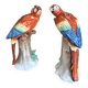 Pair of porcelain parrots Sitzendorf – Germany
