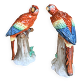 Paire de perroquets en porcelaine Sitzendorf – Allemagne