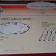 Guy Degrenne fish service made in France