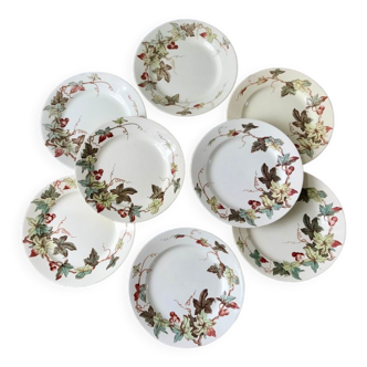 Lot de 8 assiettes à dessert Terre de Fer Lunéville modèle Lierre XIXème