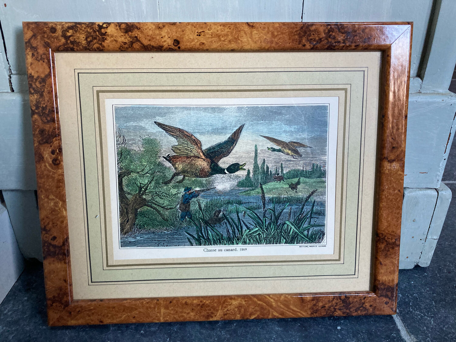 Duck hunting setting