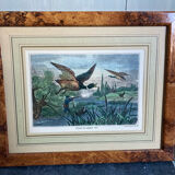 Duck hunting setting