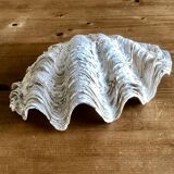 Clam shell