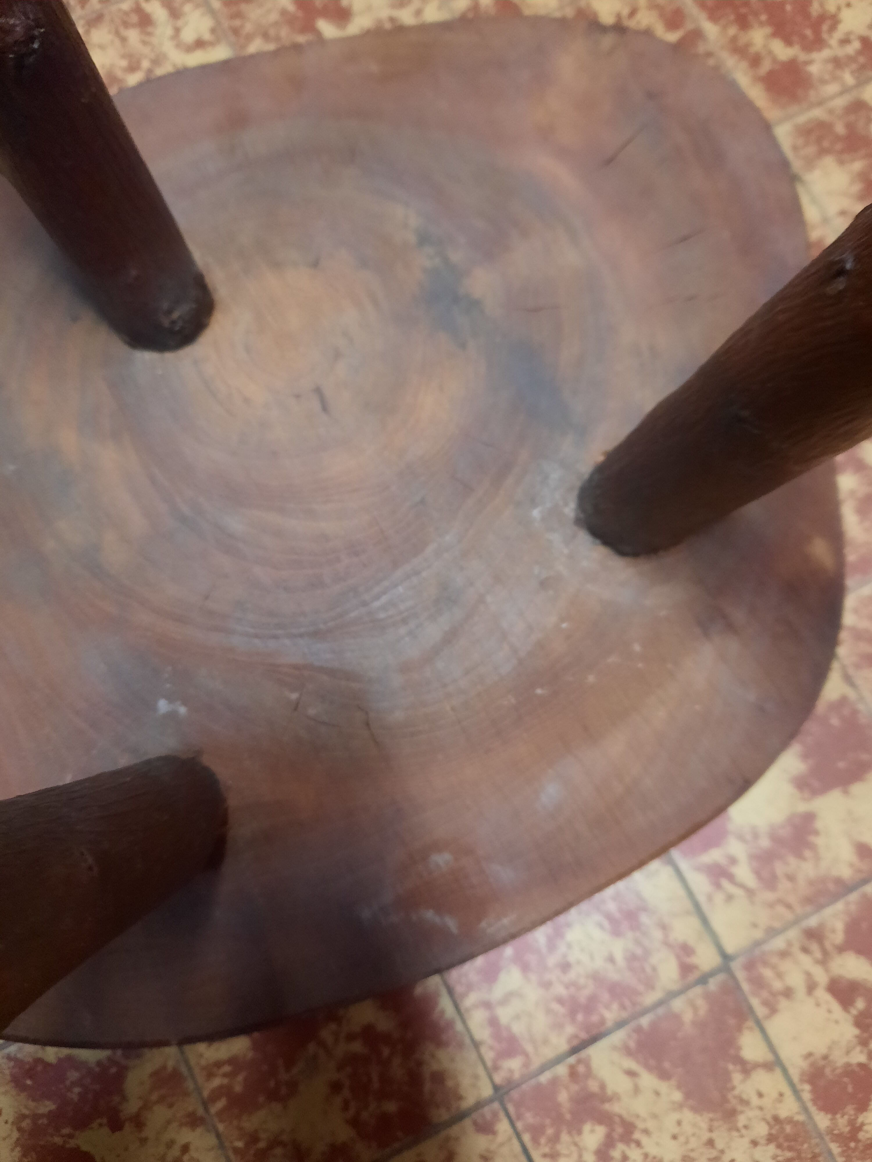 Tree trunk coffee table