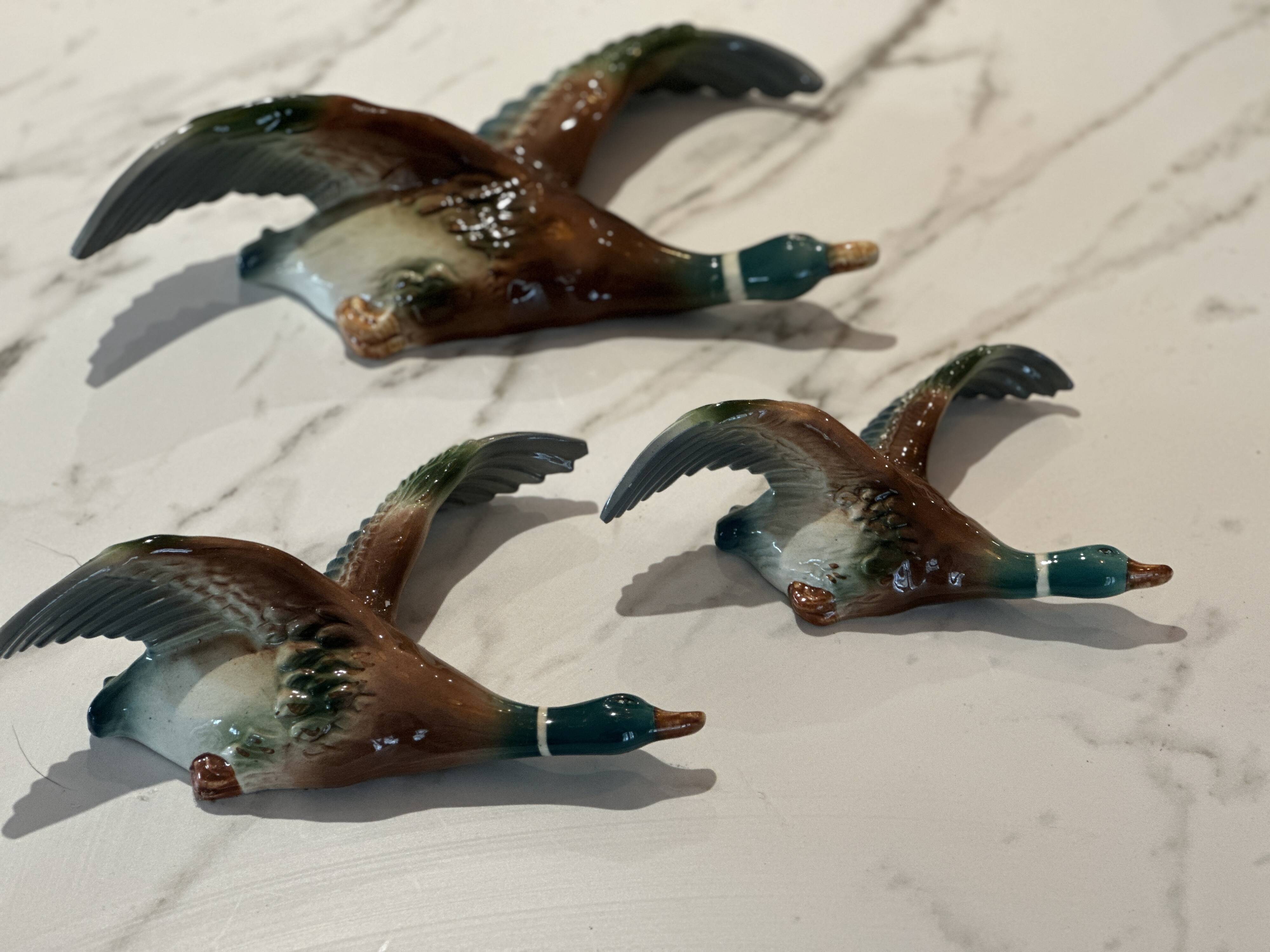 Mid century graduating flying ducks