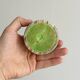 Green veined stone paperweight