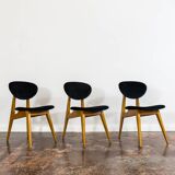 Mid-century chairs, GFM 22 by J. Kędziorek, Poland, 1960s, set of 3