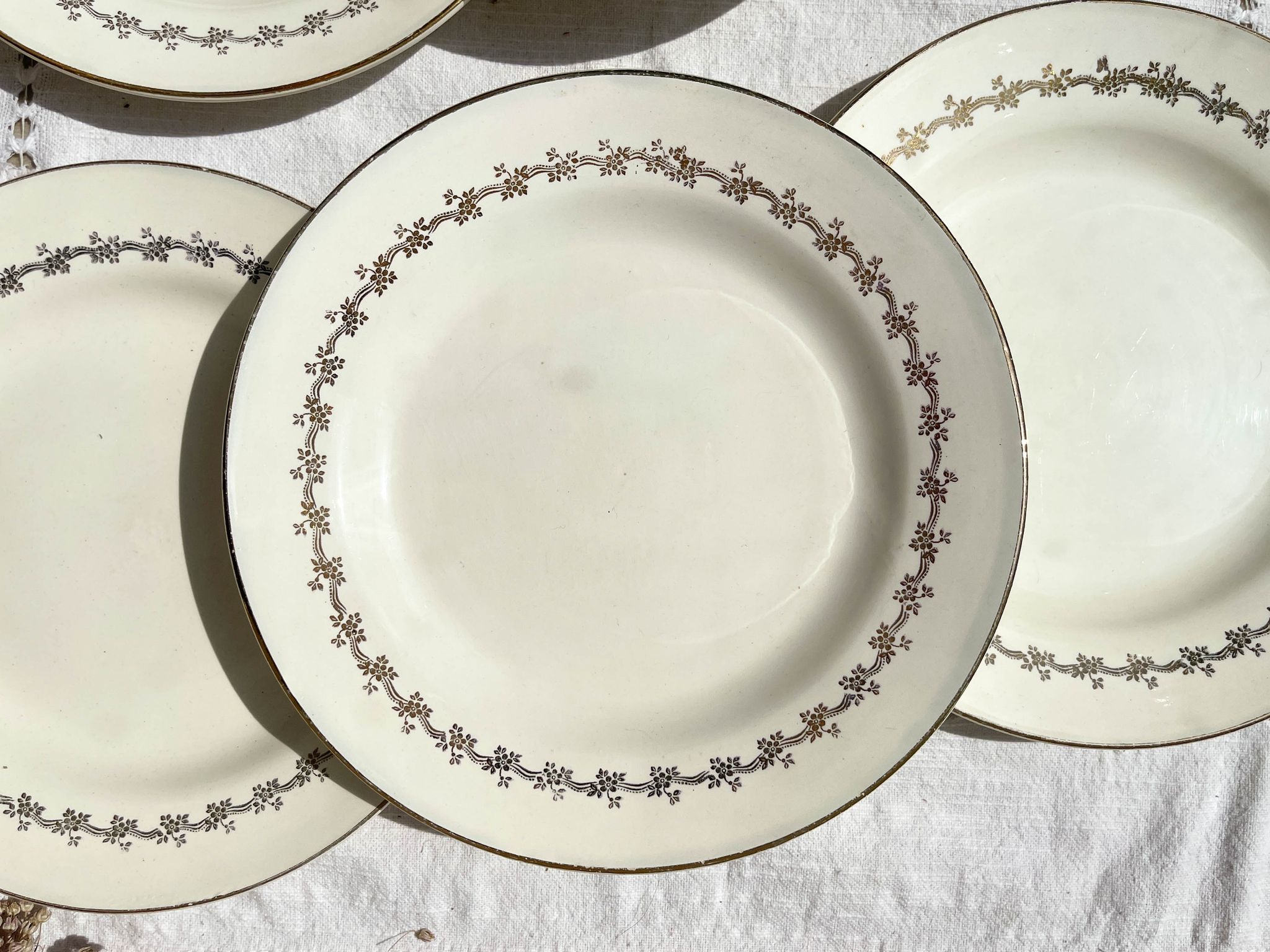 6 opaque porcelain dinner plates, Digoin model "Suzy"