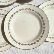 6 opaque porcelain dinner plates, Digoin model "Suzy"