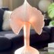 Vase Leonardo en verre dépoli rose