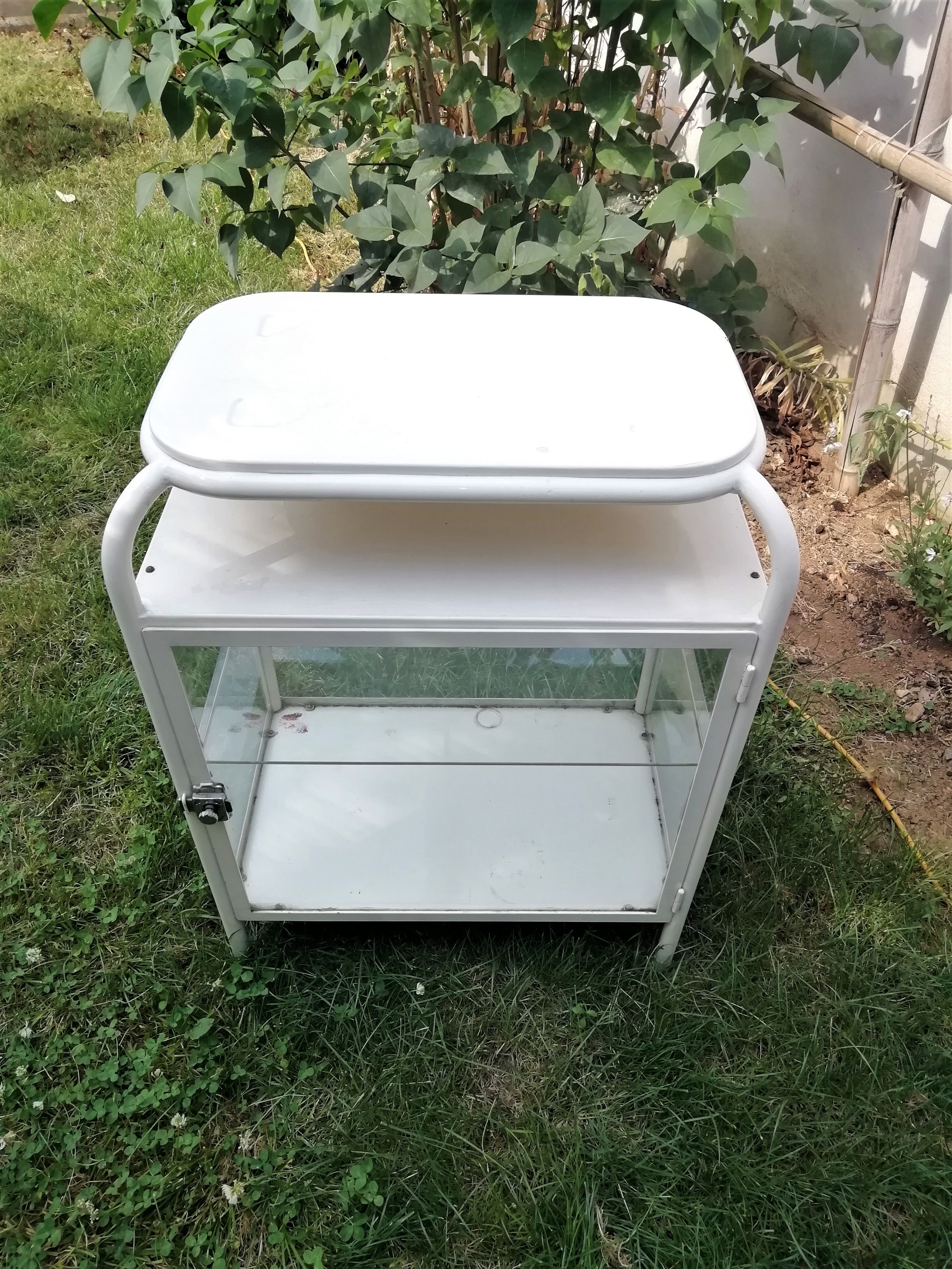 Small metal medical showcase