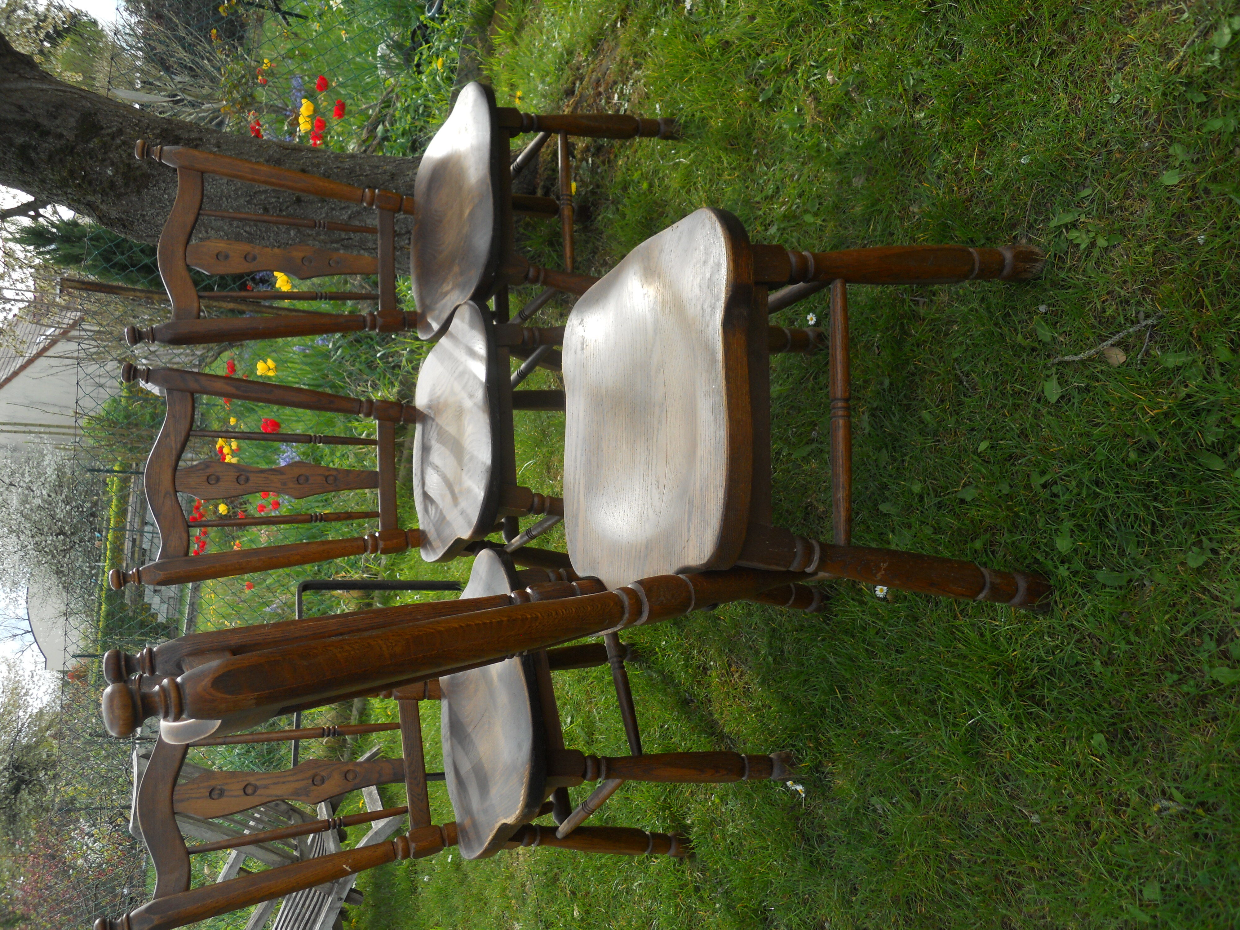 Suite de 4 chaises windsor