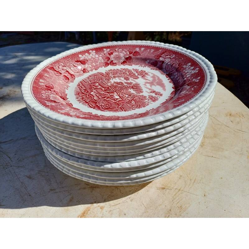 12 earthenware plates from the brand: Adams