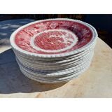 12 earthenware plates from the brand: Adams
