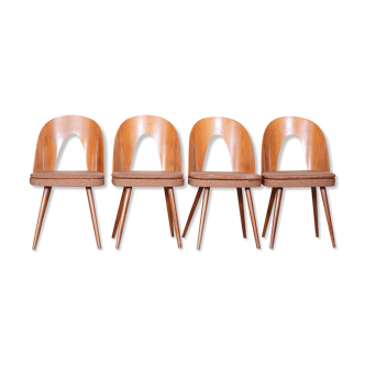 Lot de 4 chaises par Antonín Šuman 1950