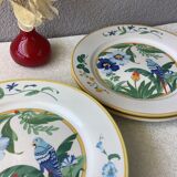 Ara Pier Import Japan Hibiscus and Parrot plates