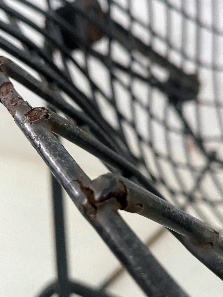 Bird Chair Harry Bertoia for Knoll Black