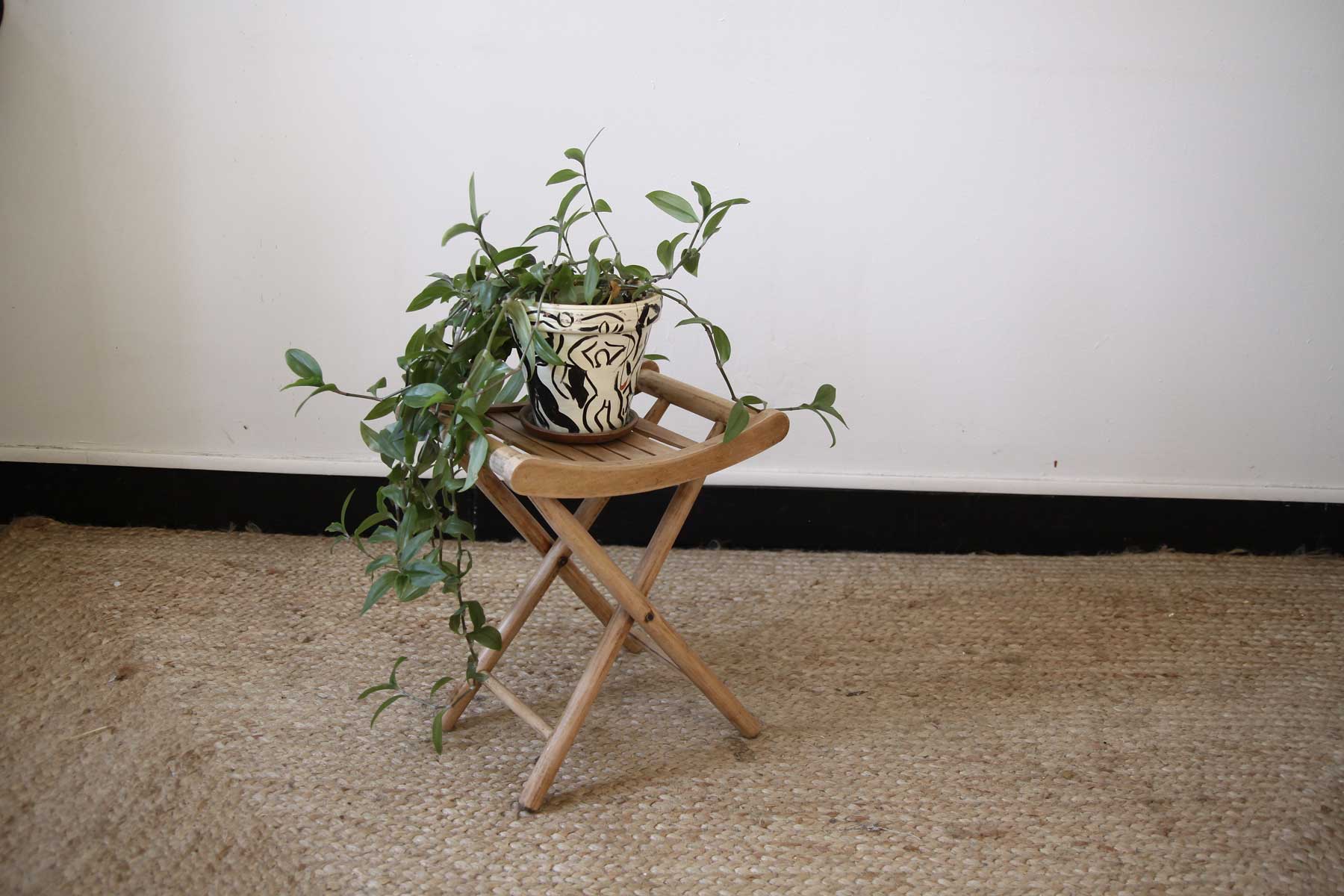 Stool door wooden plant