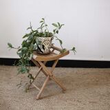 Stool door wooden plant