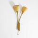 Mid Century unused brass wall lamp with double shade by Cosack Leuchten