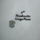 6 Limoges porcelain dessert plates - cherry blossoms -