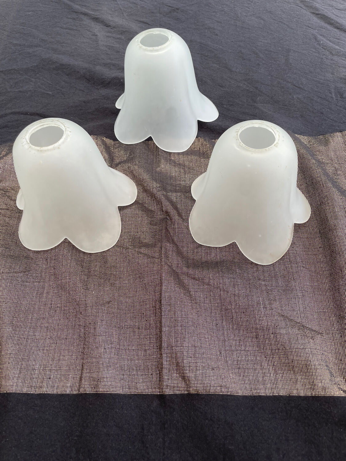 3 tulipes 5 pétales verre satiné anciennes
