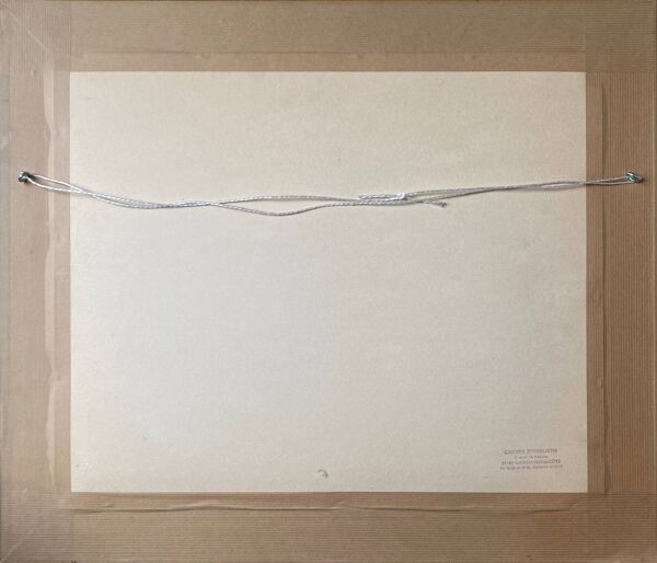 Tableau HSP ''Rue Gambay Vieux Troyes'' commerce en 1910 HSP signé + cadre