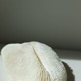 White Coral Fungia 24 cm