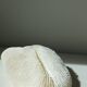 Corail blanc Fungia 24 cm