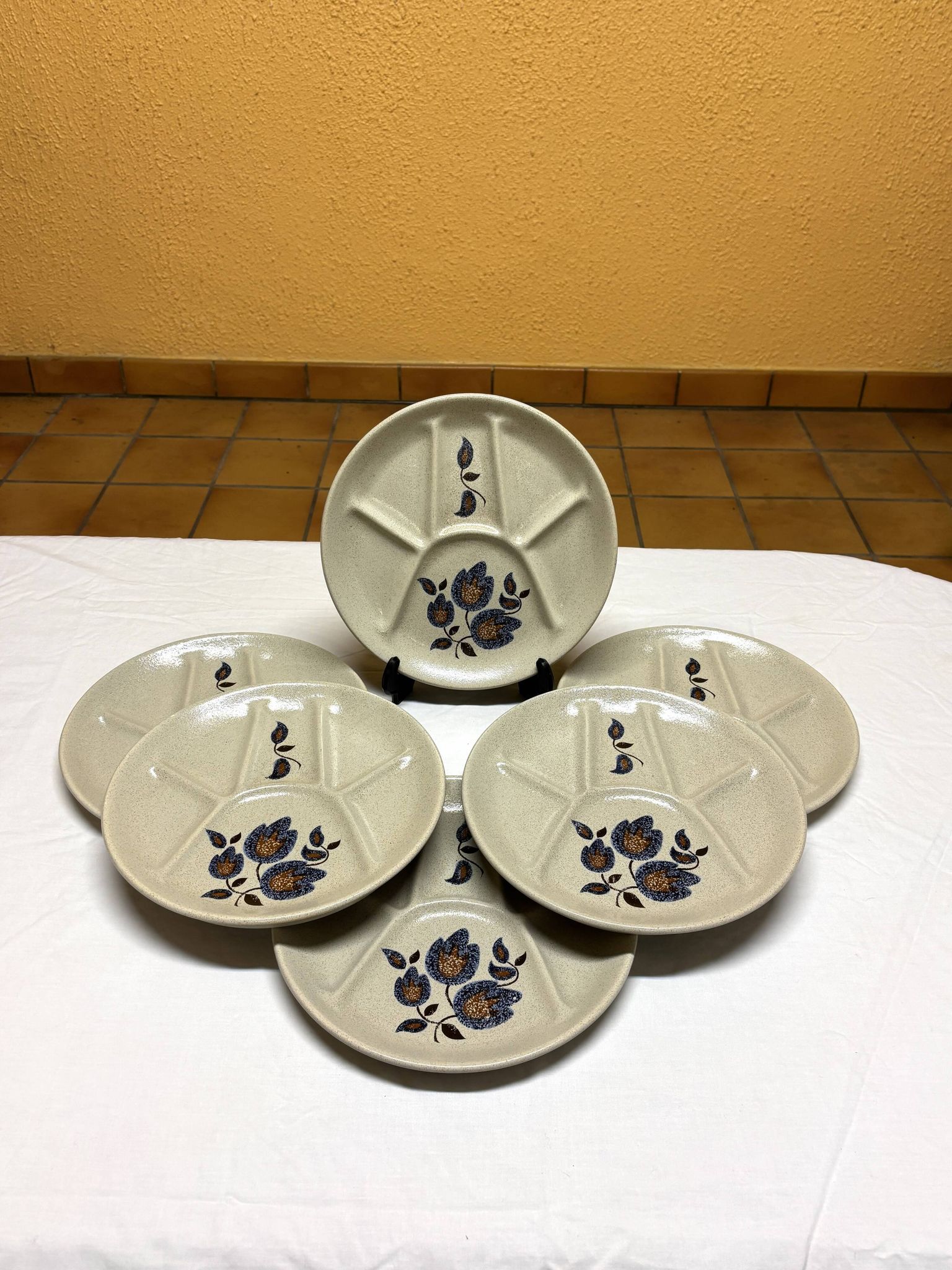 Saint-Amand Sologne - 6 Assiettes à fondue compartimentées
