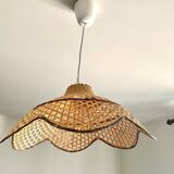 Canning suspension 1970