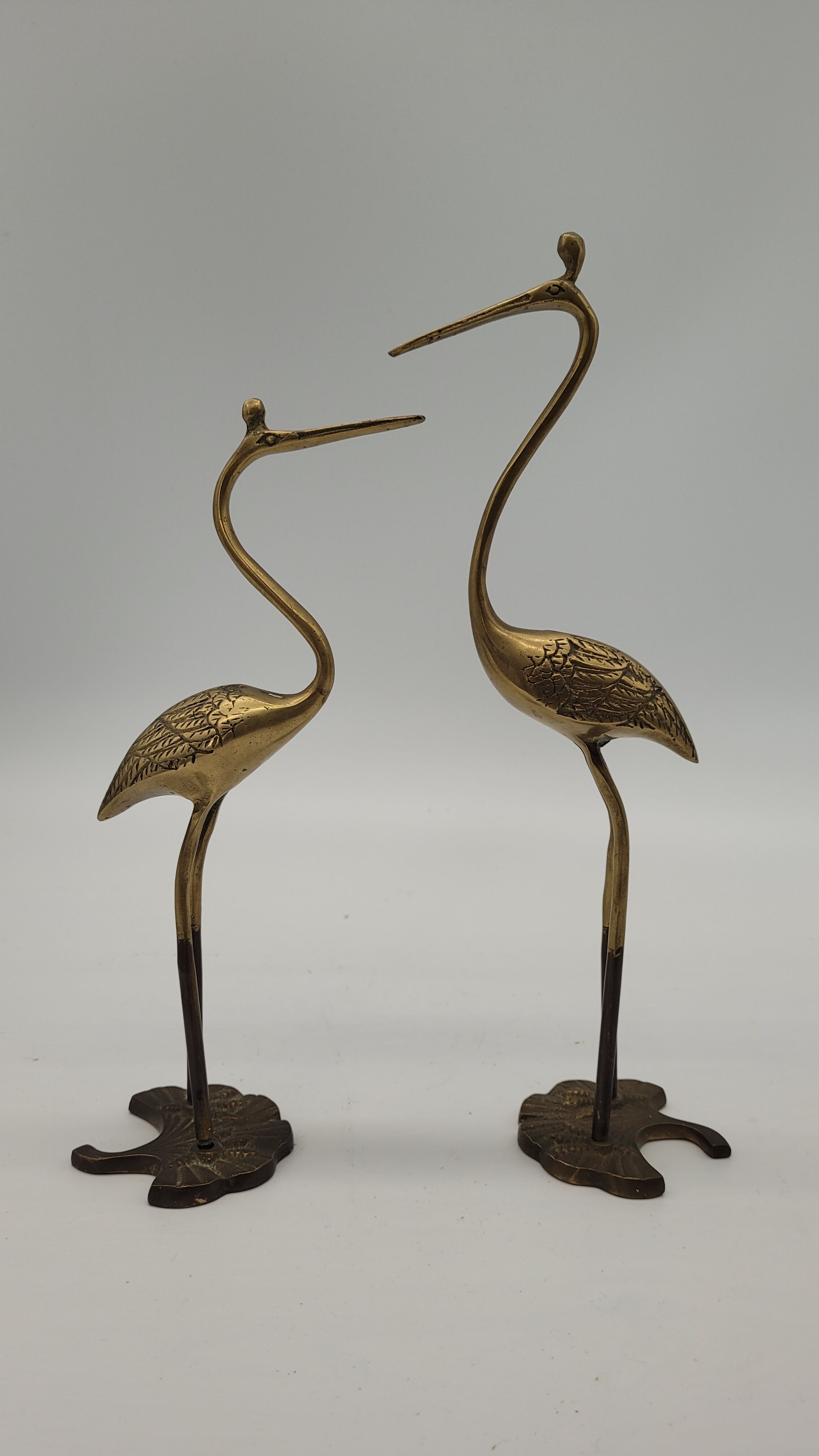 Duo ashy herons in brass
