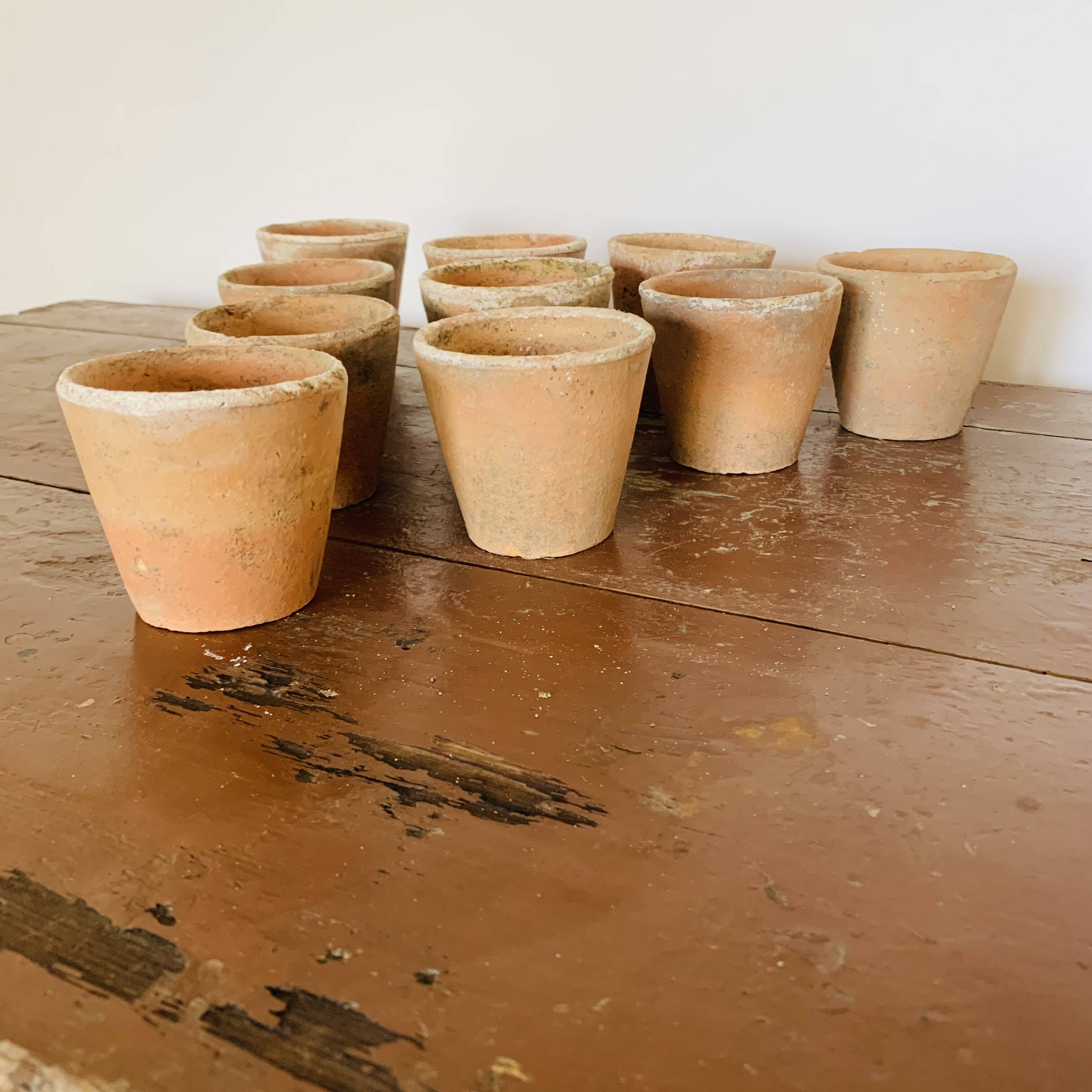 Lot of 10 terracotta pots circa 1930 graineterie