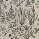 Lithograph on prairie flowers and flowers from 1921