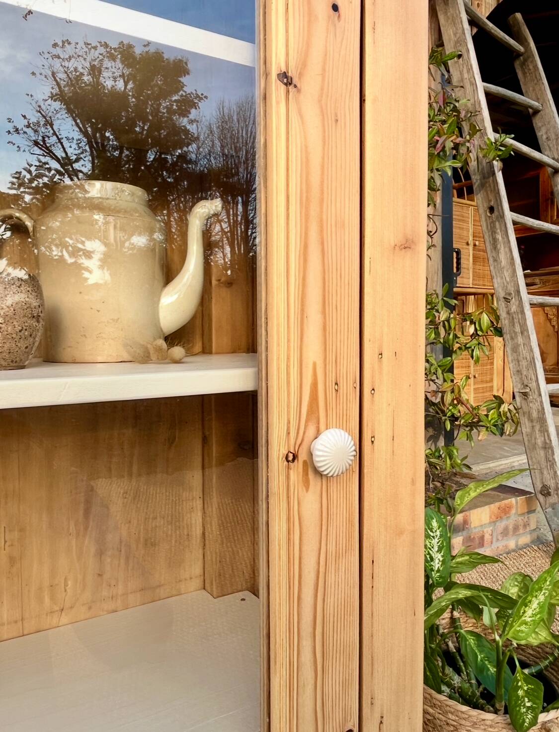 Solid wood display case