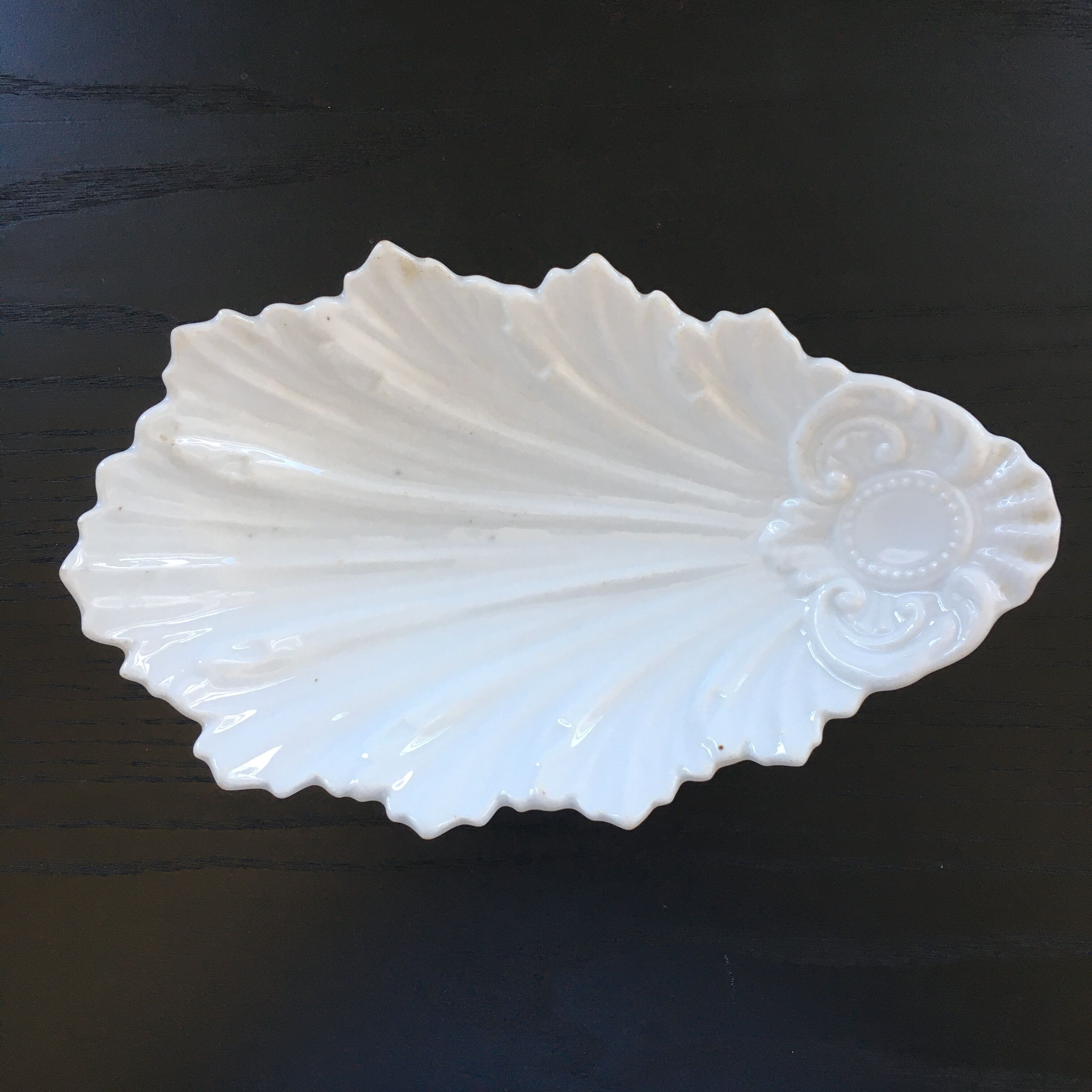 Empty white shell pocket