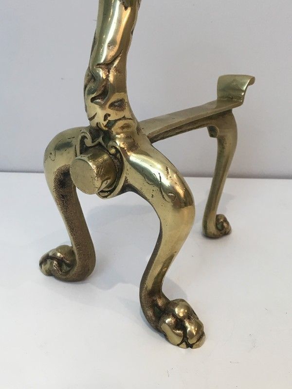 Pair of bronze andirons with lions