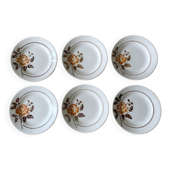 6 old earthenware plates from Saint-Amand (North)