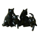 Lot de 4 chats noirs