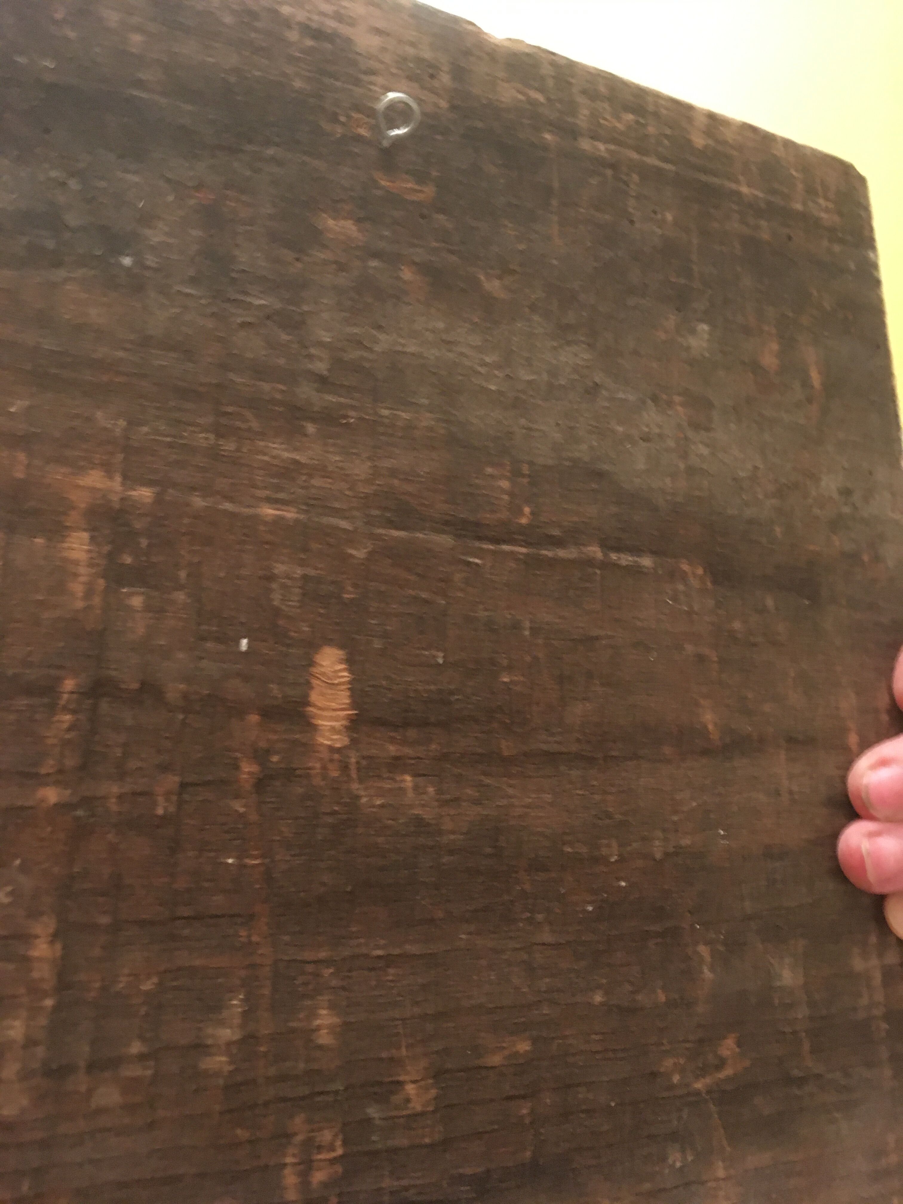 Poésie sur bois 13