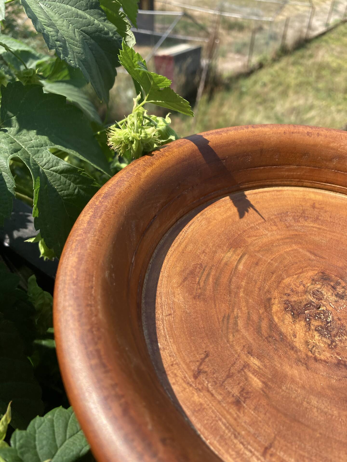 Turned wooden bowl craftsmanship from Haute-Marne.