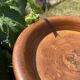 Turned wooden bowl craftsmanship from Haute-Marne.
